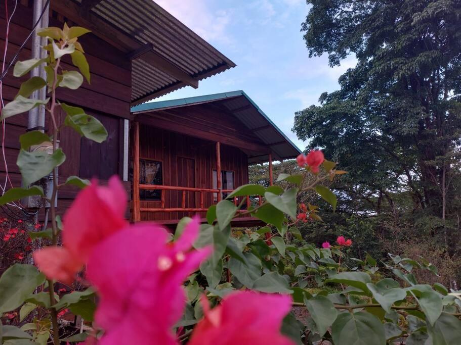 Hébergement de vacances El Corteza La Fortuna