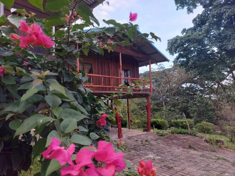 Hébergement de vacances El Corteza La Fortuna